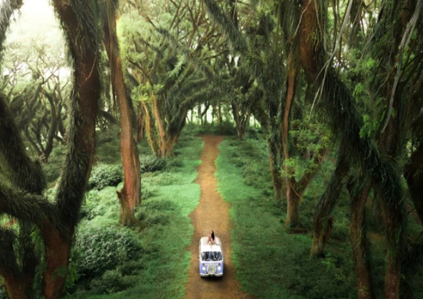 1629355588131044.jpg 12.jpg