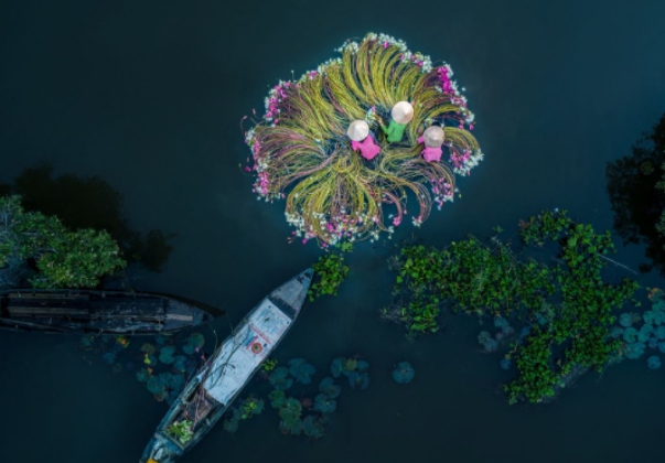 1629356261247303.jpg 18.jpg